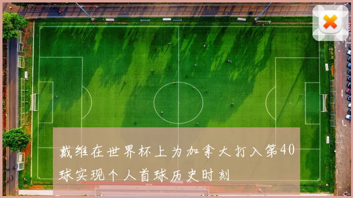 戴维在世界杯上为加拿大打入第40球实现个人首球历史时刻
